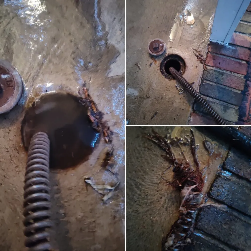 Slide of Statewide Sewer & Drain