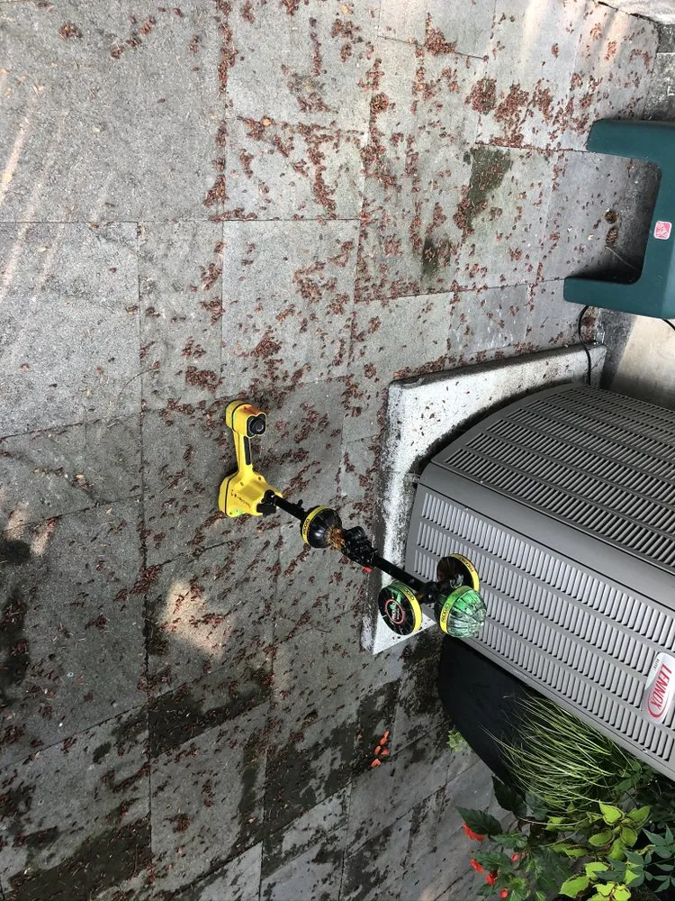 Professional emergency plumbing service in Federal Way, WA - Steady Flow Sewer & Drain