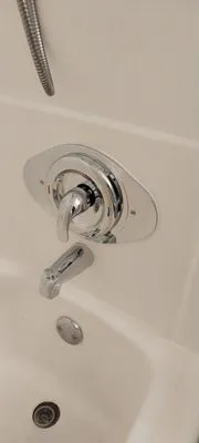 Steady Plumbing Logo