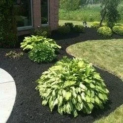 Slide of Steeplechase Complete