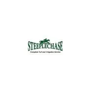 Slide of Steeplechase Complete