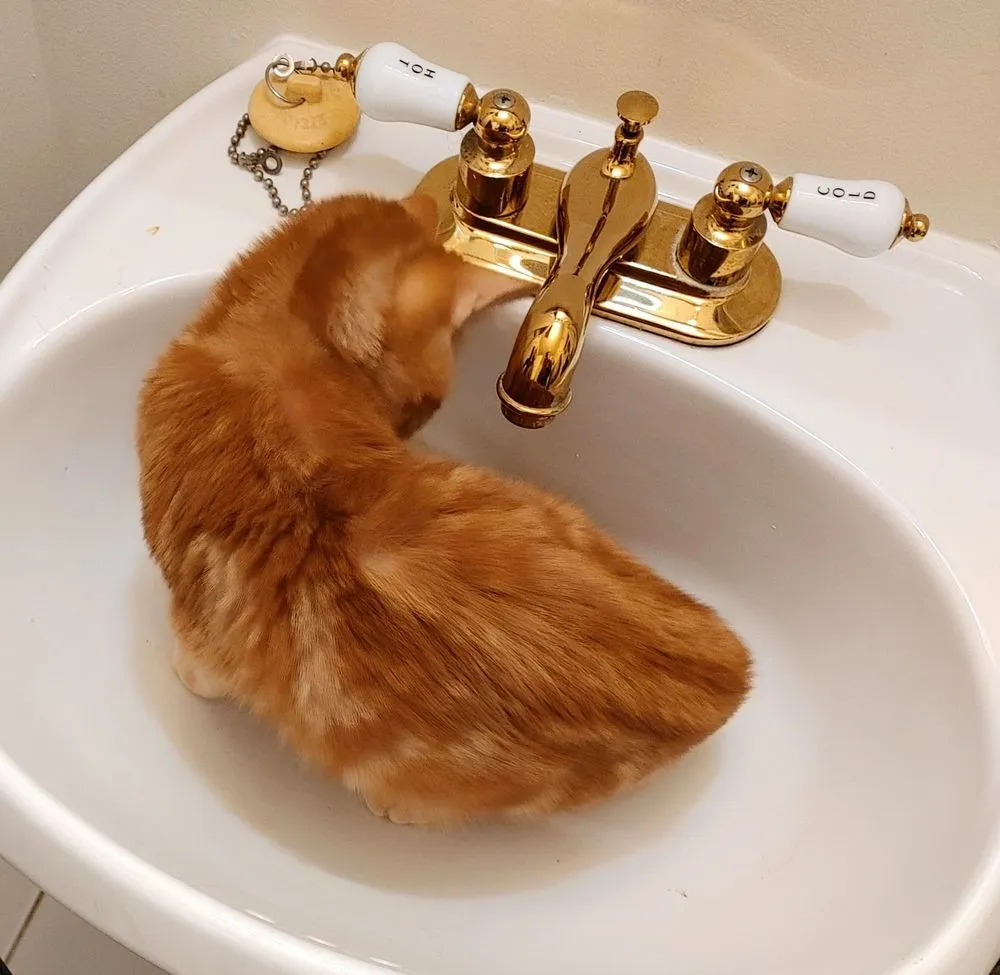 Slide of Steigerwald Plumbg