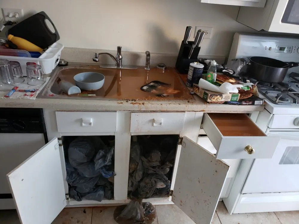 Slide of StellaR Drain And Pump Services