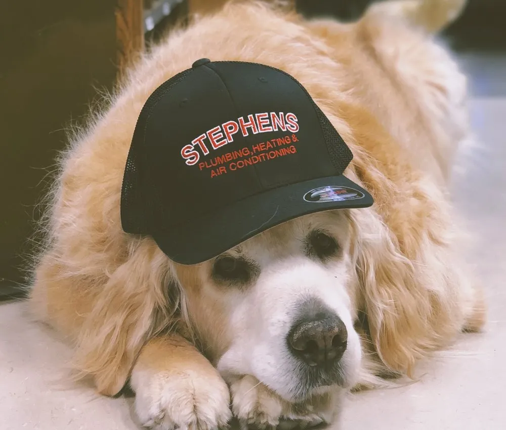 Top-rated drain cleaning experts serving San Pedro, CA - Stephens Plumbing Heating & Air Conditioning