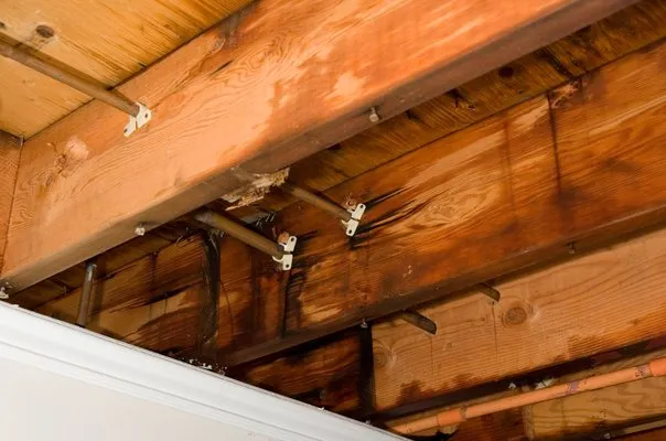 Slide of Steve Beaton Plumbing