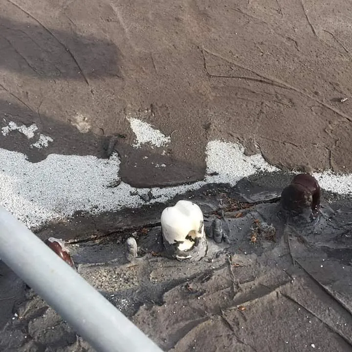 Slide of Steve Dinnen Services