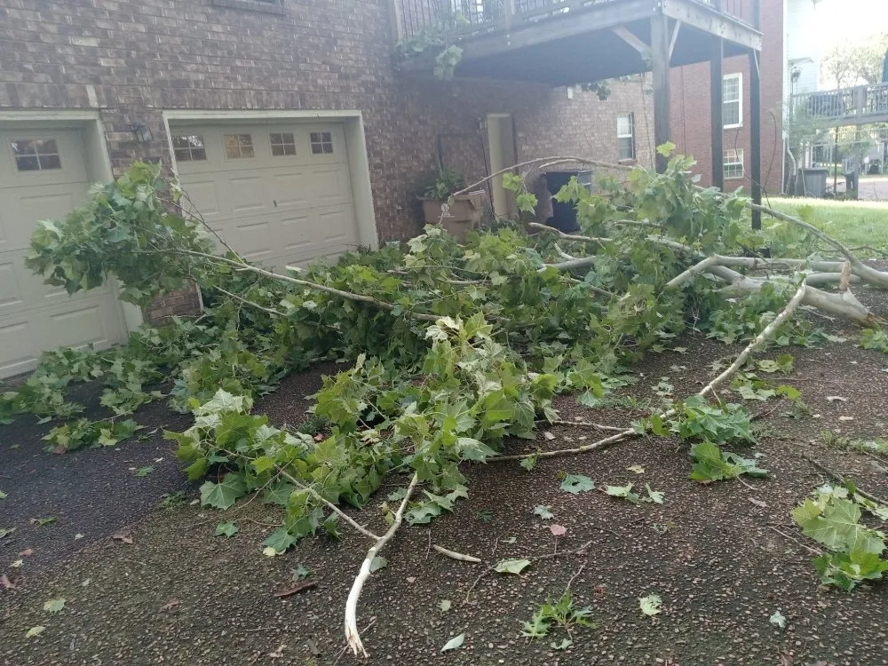 Slide of Steven Davenport