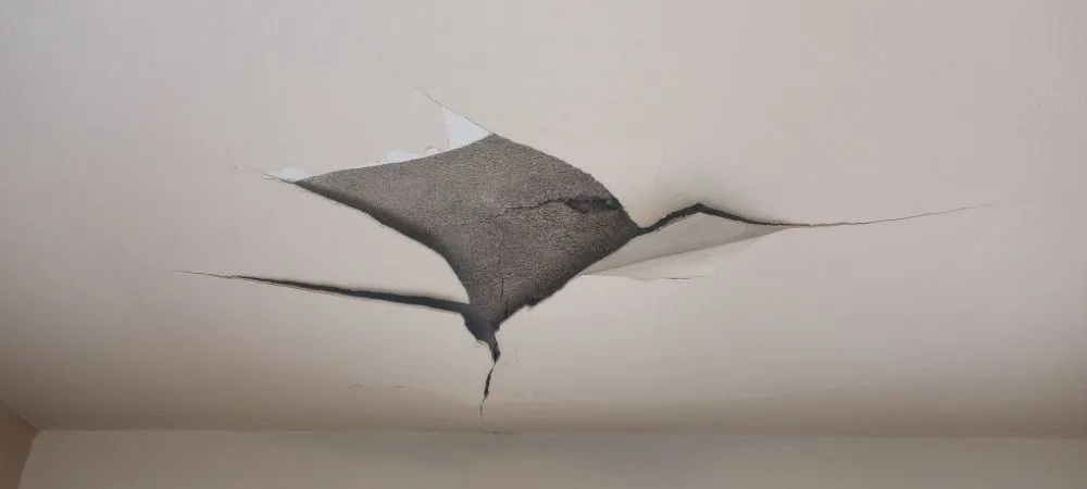 Slide of Steve's Handyman Service