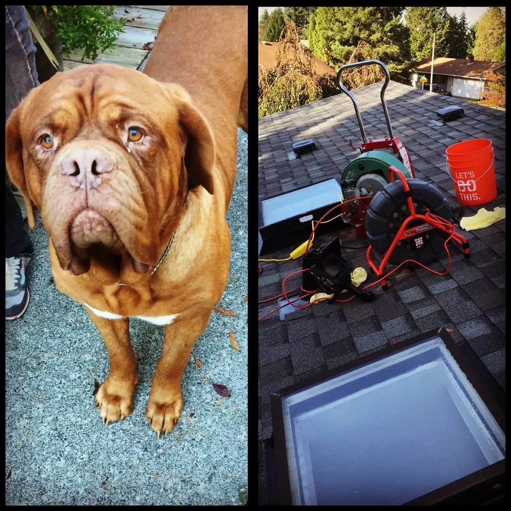 Slide of Steve's Plumbing