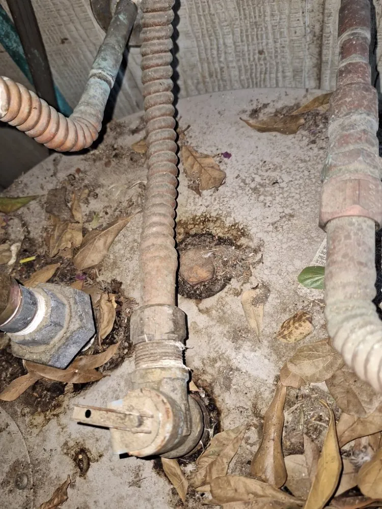 Slide of Stewie's All Around Drain Clean Outs