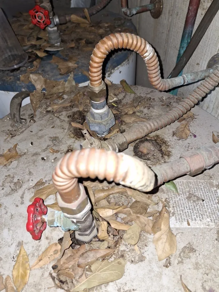 Slide of Stewie's All Around Drain Clean Outs