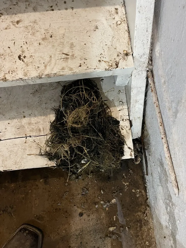 Slide of STL Pro Plumbing