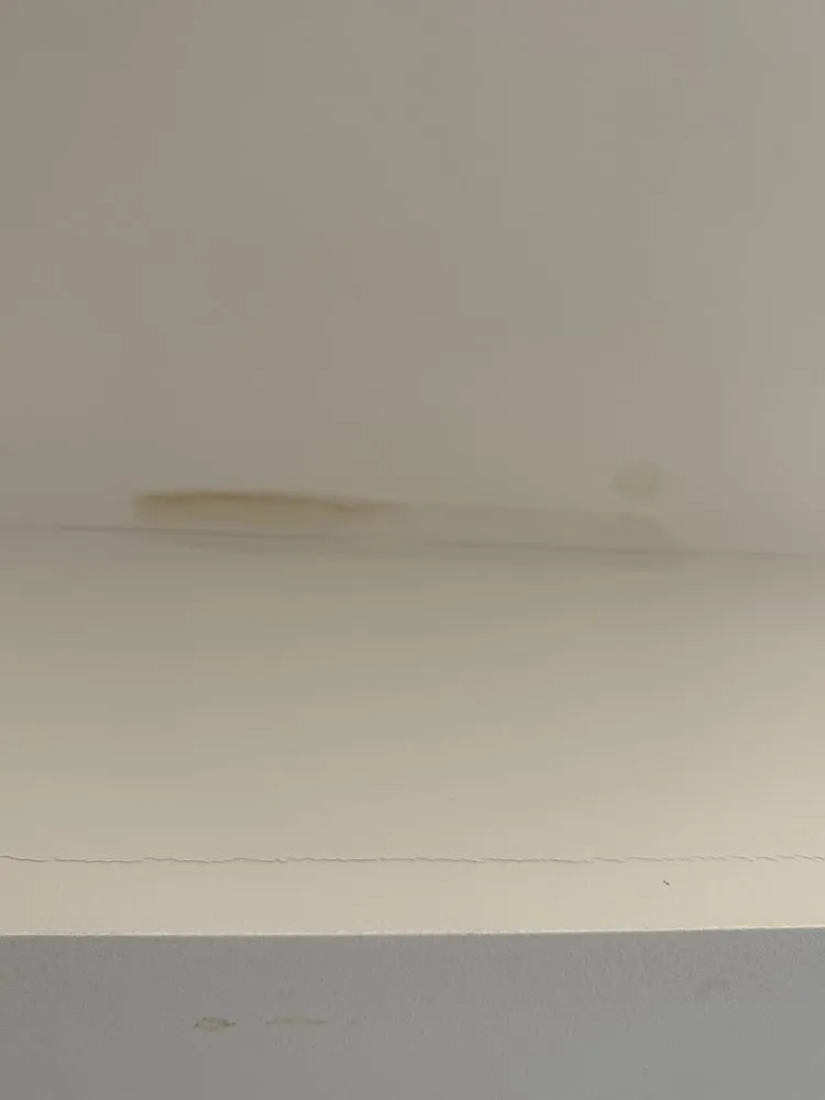 Slide of Str8 Flush Drain Cleaning