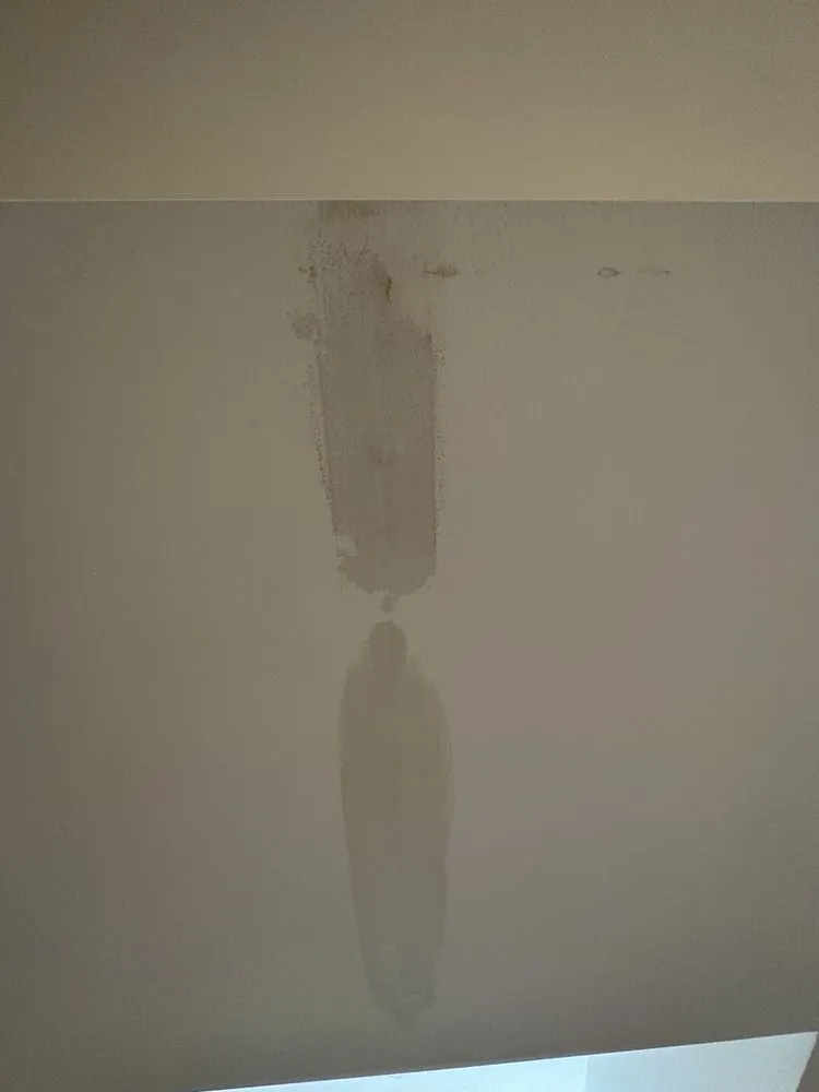 Slide of Str8 Flush Drain Cleaning