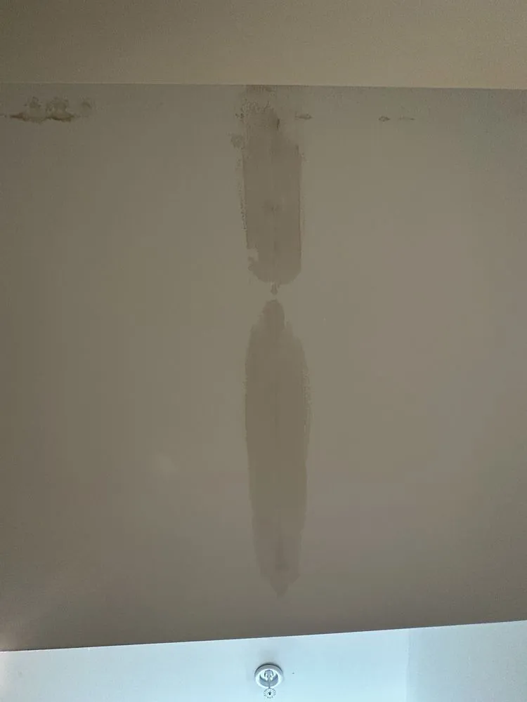 Slide of Str8 Flush Drain Cleaning