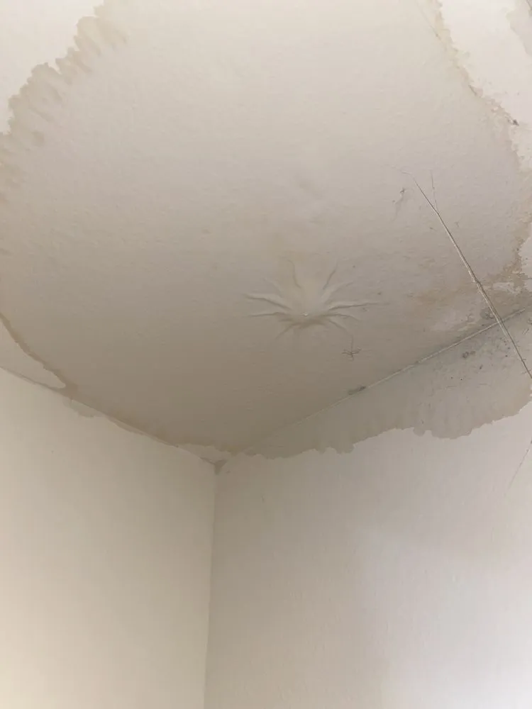 Professional plumbing repair experts serving Laguna Niguel, CA - Straight Flush Plumbing & Leak Detection