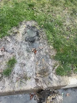 Straight Flush Plumbing