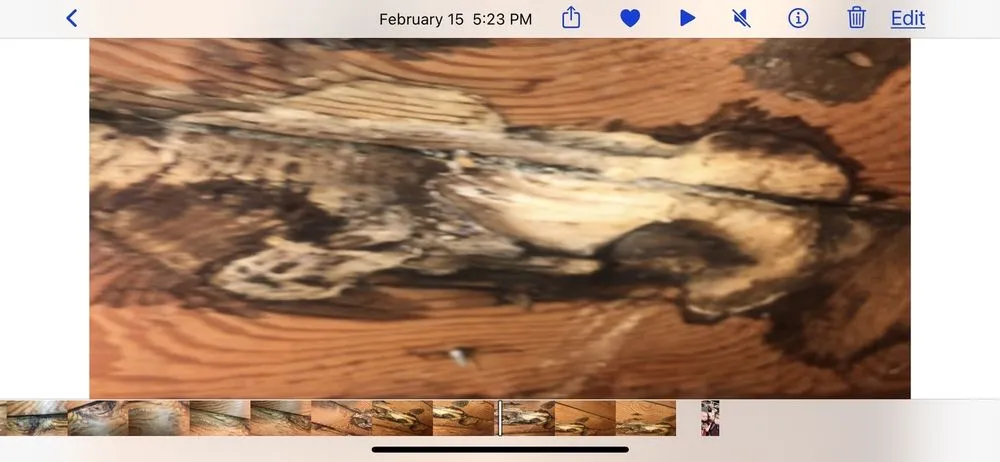 Slide of Street Plumbing & Rooter