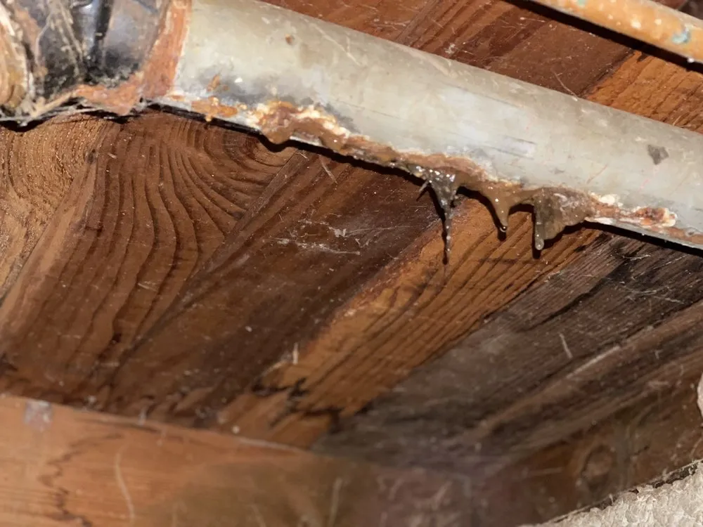 Slide of Street Plumbing & Rooter