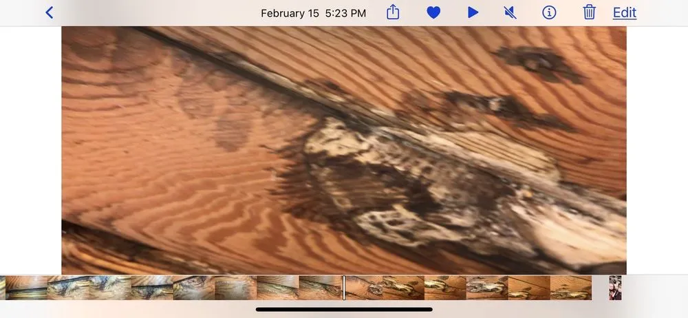 Slide of Street Plumbing & Rooter