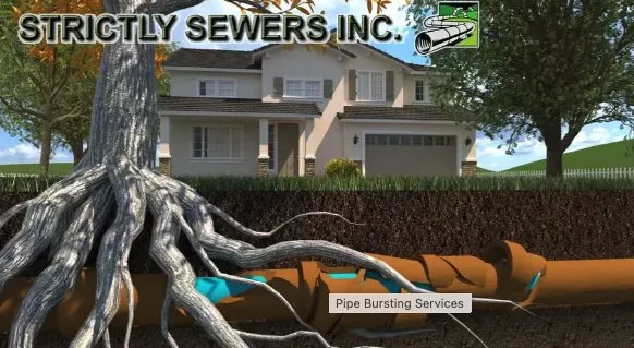 Strictly Sewers Logo