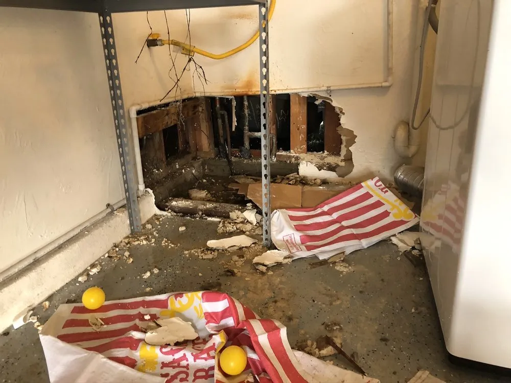 Slide of Stride Plumbing and Drains