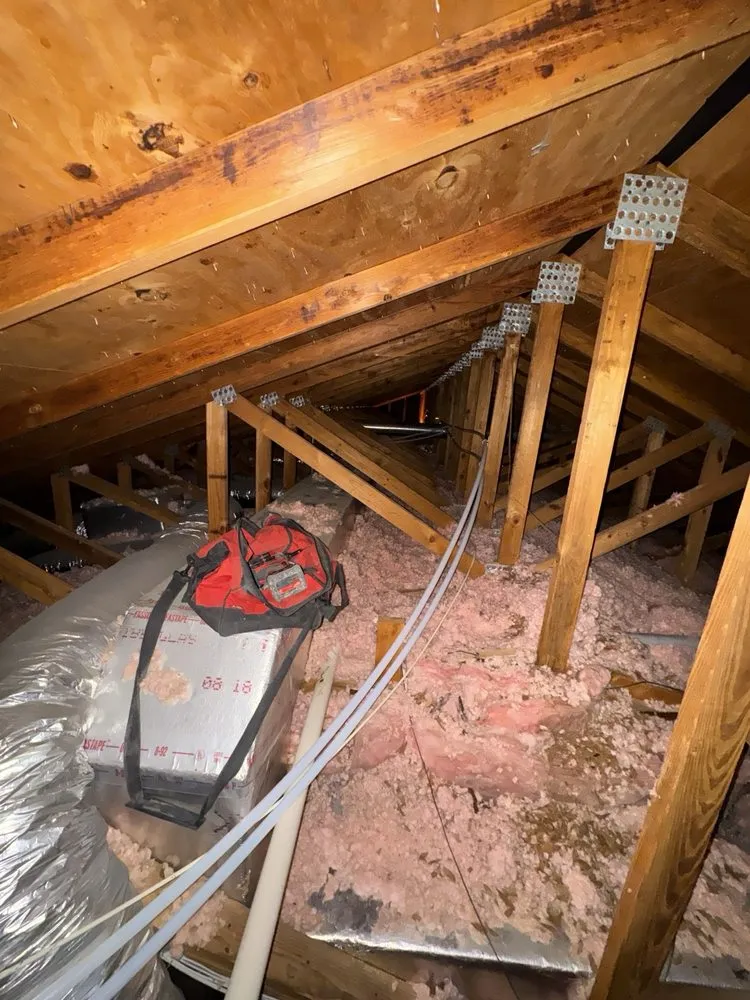 Slide of Strong Field General Service