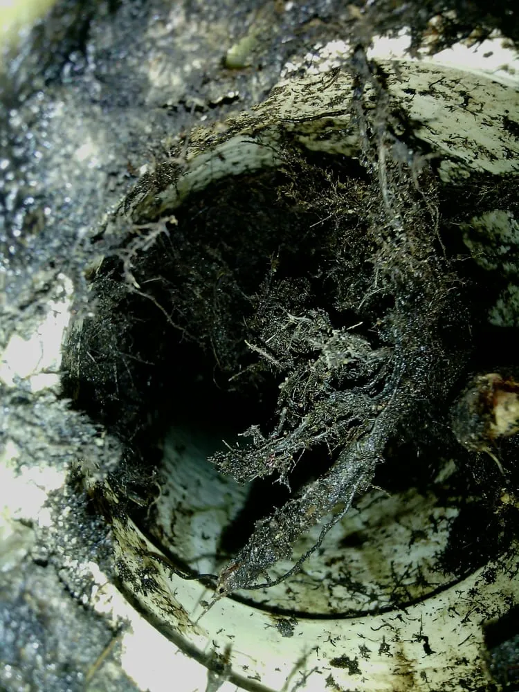 Slide of Strong Plumbing LLC