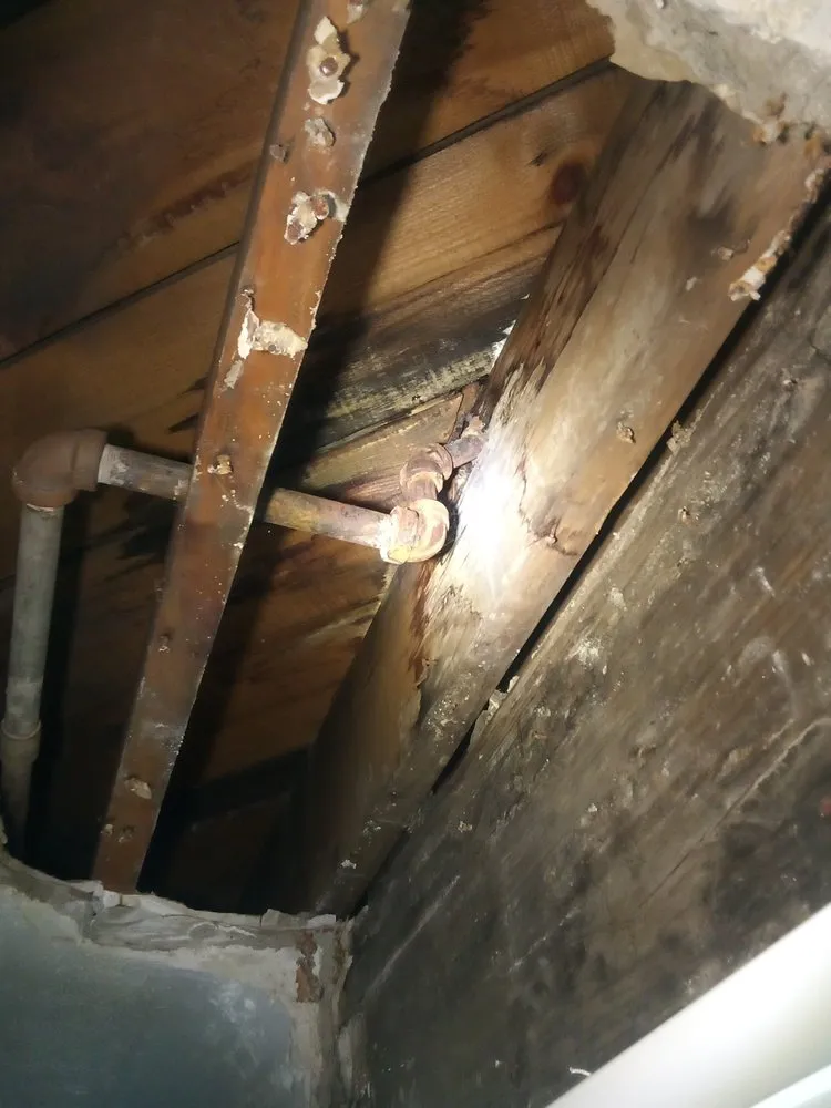 Trusted emergency plumbing service in North Street, MI - Strong's Handyman