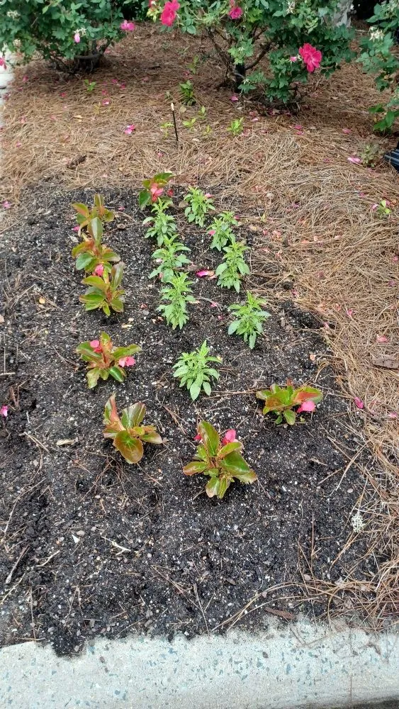 Slide of Sublime Handy Work