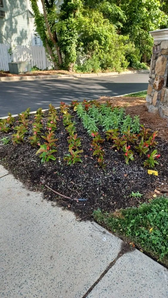 Slide of Sublime Handy Work