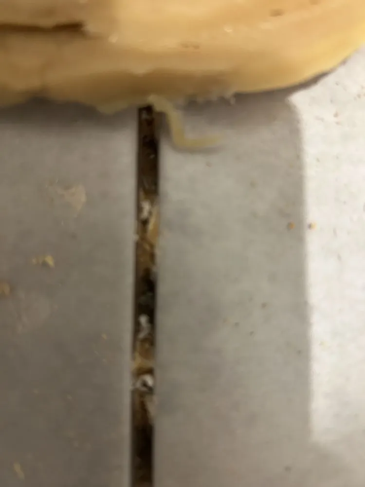 Slide of Suburban Plumbing