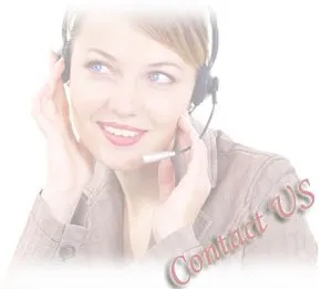 Slide of Sugar Bear Home Services