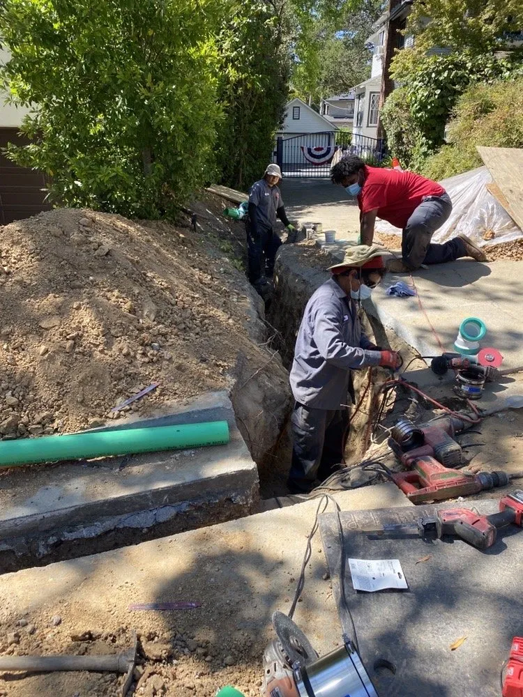 Slide of Sugar Bear Plumbing