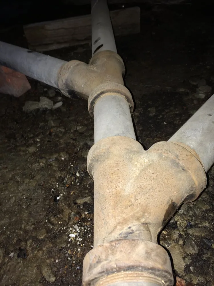 Slide of Sugar Bear Plumbing