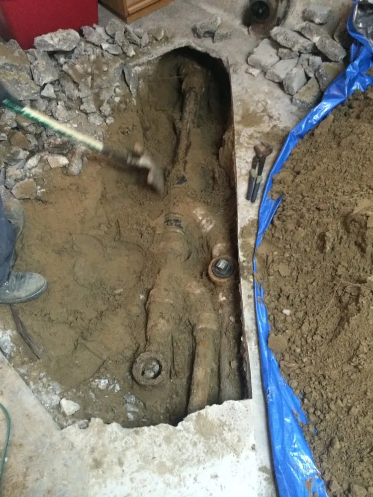 Slide of Sugar Bear Plumbing