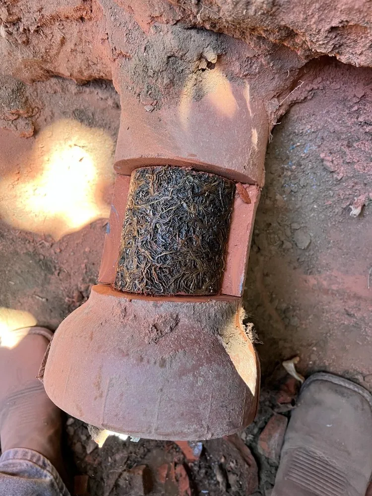 Slide of Sugar Plumbing