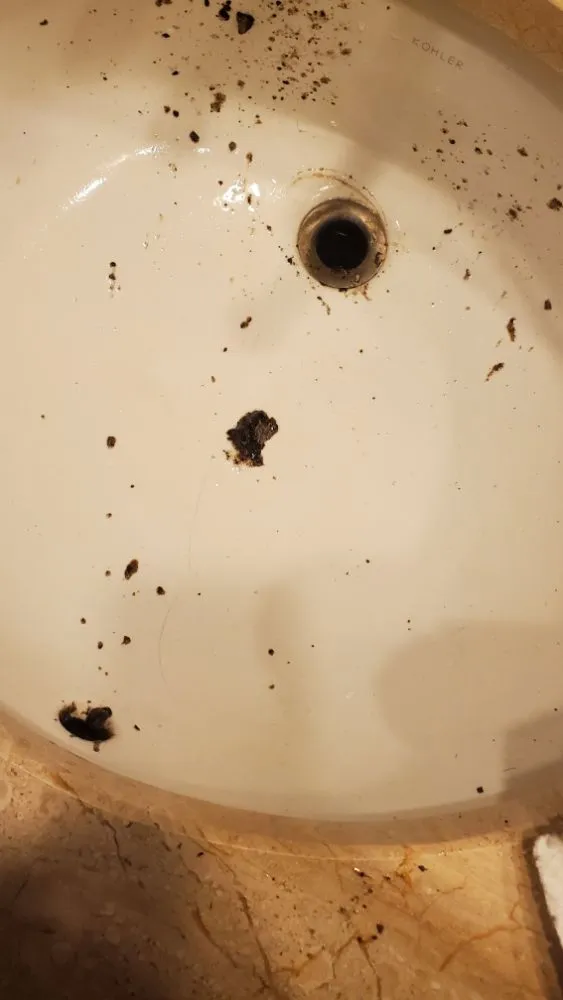 Slide of Sulli's Plumbing