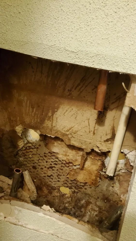 Slide of Sulli's Plumbing