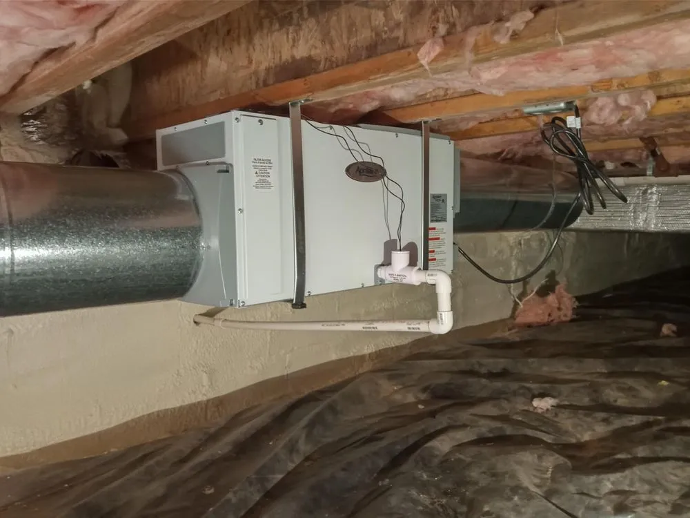 Slide of Sullivan’s