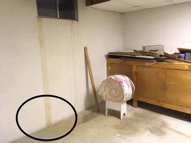 Slide of Sump Pump Gurus