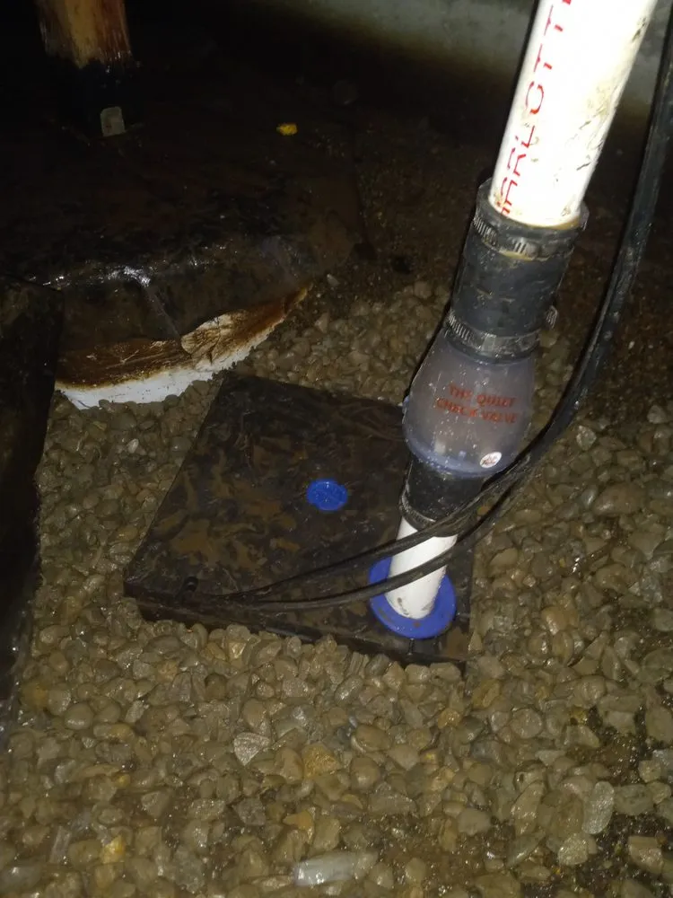 Slide of Sump Pump Heroes