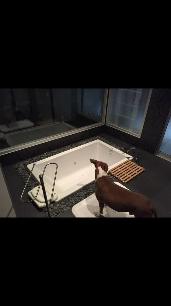 Slide of Sun City Mold Services