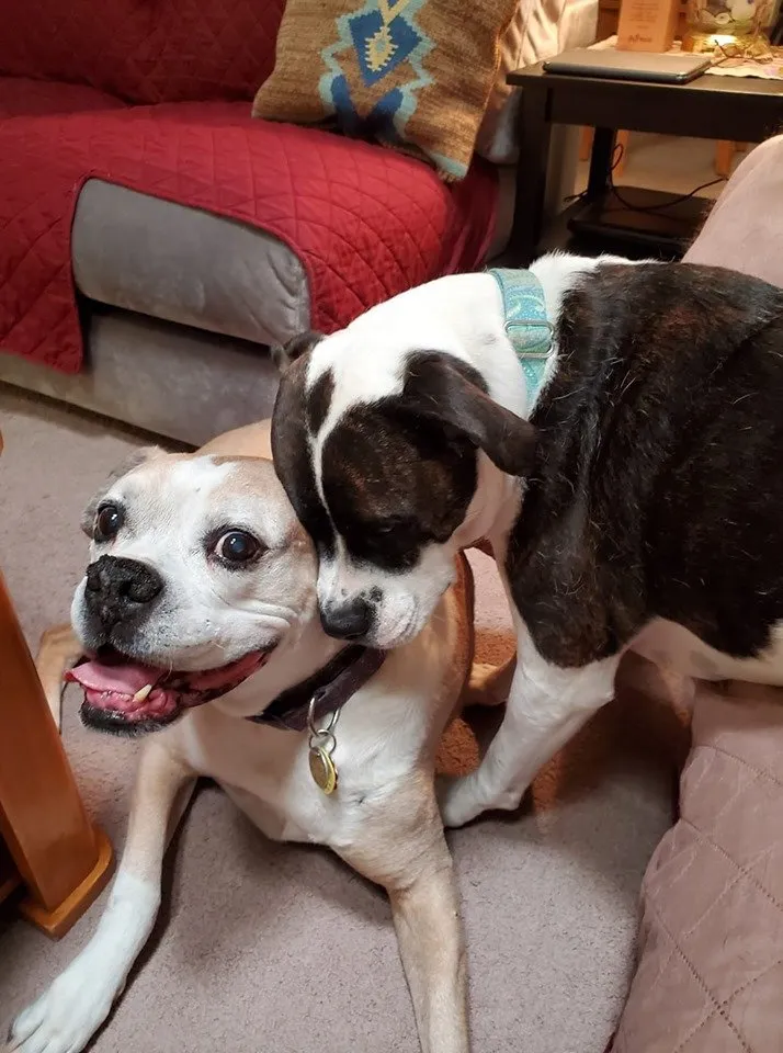 Slide of Sun City Plumbing & Heating