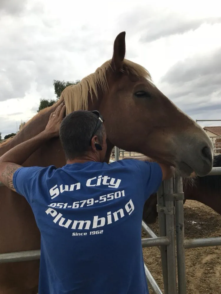 Slide of Sun City Plumbing