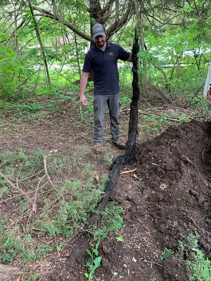 Slide of Sunflower Services