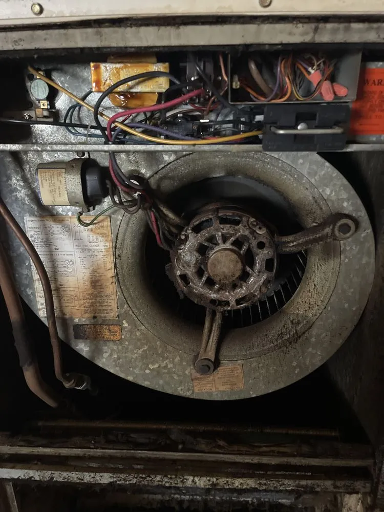 Quality emergency plumbing service in Tampa Bay, FL - Sunny Skies maintenance