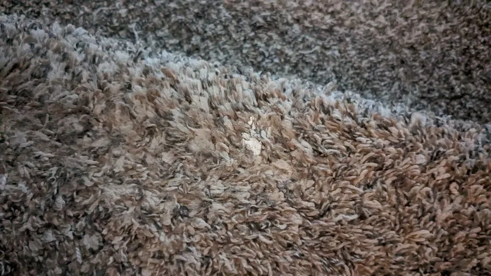 Slide of Sunny view drywall