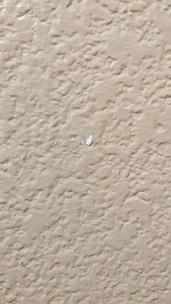 Slide of Sunny view drywall
