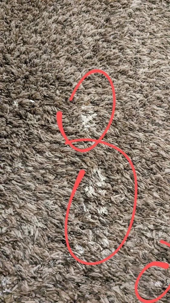 Slide of Sunny view drywall